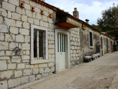 CAMPOLATTARO (BN) - 434 AZIENDA AGRICOLA