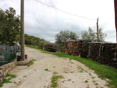 CAMPOLATTARO (BN) - 434 AZIENDA AGRICOLA