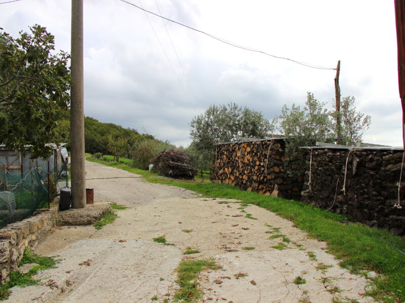 CAMPOLATTARO (BN) - 434 AZIENDA AGRICOLA