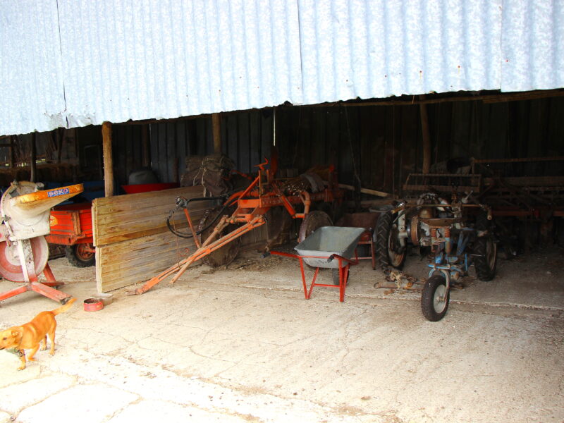 CAMPOLATTARO (BN) - 434 AZIENDA AGRICOLA