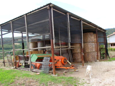 CAMPOLATTARO (BN) - 434 AZIENDA AGRICOLA