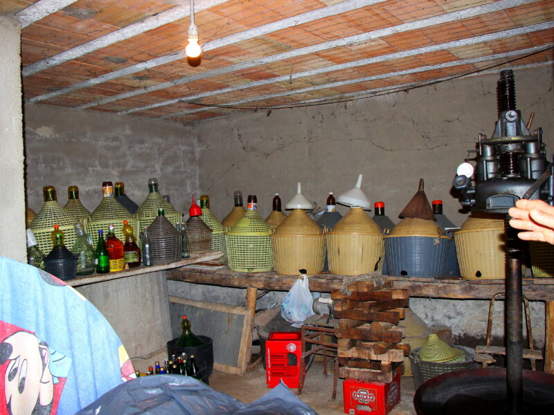 CAMPOLATTARO (BN) - 434 AZIENDA AGRICOLA