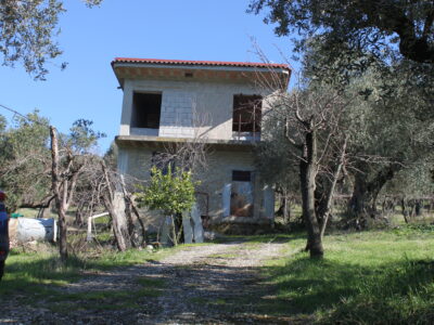 FRASSO TELESINO (BN) - 56 TERRENO COLTIVATO CON DEPOSITO