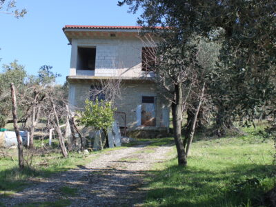 FRASSO TELESINO (BN) - 56 TERRENO COLTIVATO CON DEPOSITO