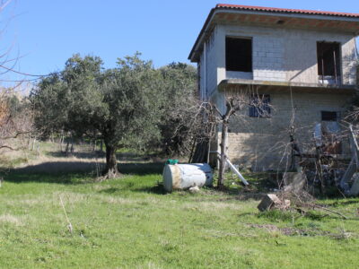 FRASSO TELESINO (BN) - 56 TERRENO COLTIVATO CON DEPOSITO