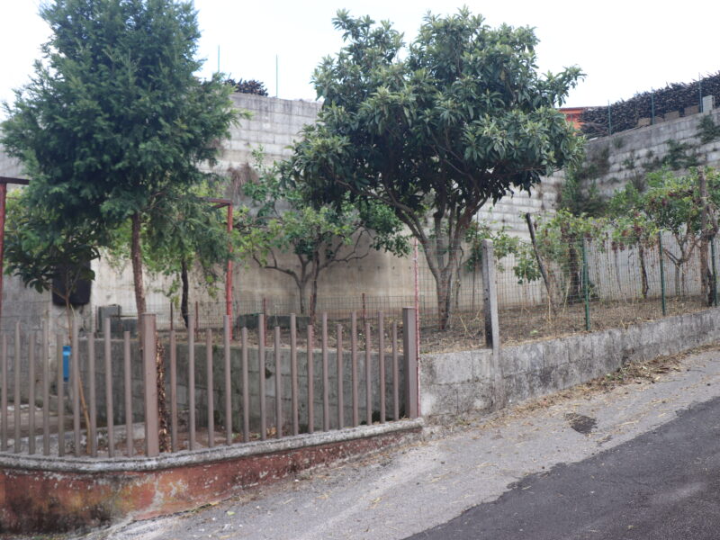 LIMATOLA (BN) - 165 APPARTAMENTO AL PIANO TERRA