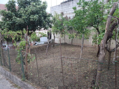 LIMATOLA (BN) - 165 APPARTAMENTO AL PIANO TERRA