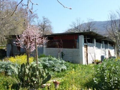 FRASSO TELESINO (BN) - 180 TERRENO AGRICOLO CON DEPOSITO