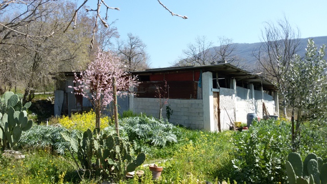 FRASSO TELESINO (BN) - 180 TERRENO AGRICOLO CON DEPOSITO