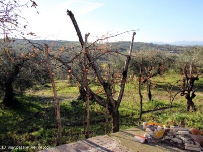 FRASSO TELESINO (BN) - 365 STUPENDO CASALE CON TERRENO