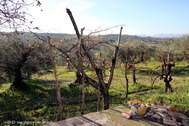 FRASSO TELESINO (BN) - 365 STUPENDO CASALE CON TERRENO