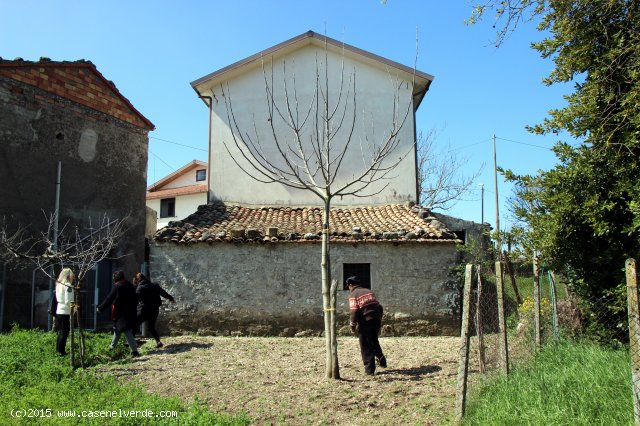 MORCONE (BN) - 357 CASA INDIPENDENTE CON TERRENO