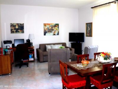 SOLOPACA (BN) - 505 CASA INDIPENDENTE CON GIARDINO