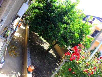 SOLOPACA (BN) - 505 CASA INDIPENDENTE CON GIARDINO