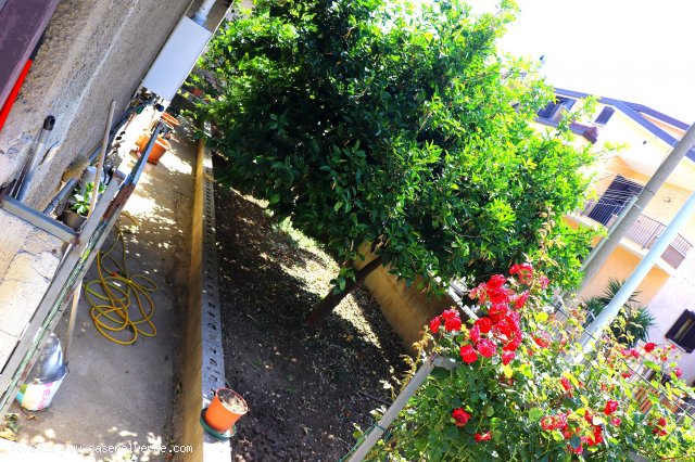 SOLOPACA (BN) - 505 CASA INDIPENDENTE CON GIARDINO