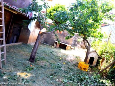 SOLOPACA (BN) - 505 CASA INDIPENDENTE CON GIARDINO