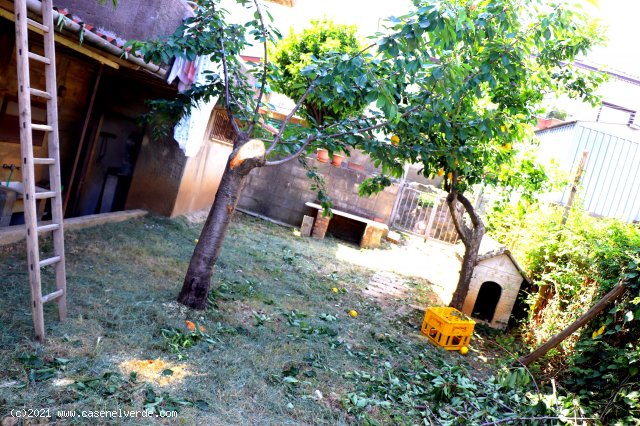 SOLOPACA (BN) - 505 CASA INDIPENDENTE CON GIARDINO