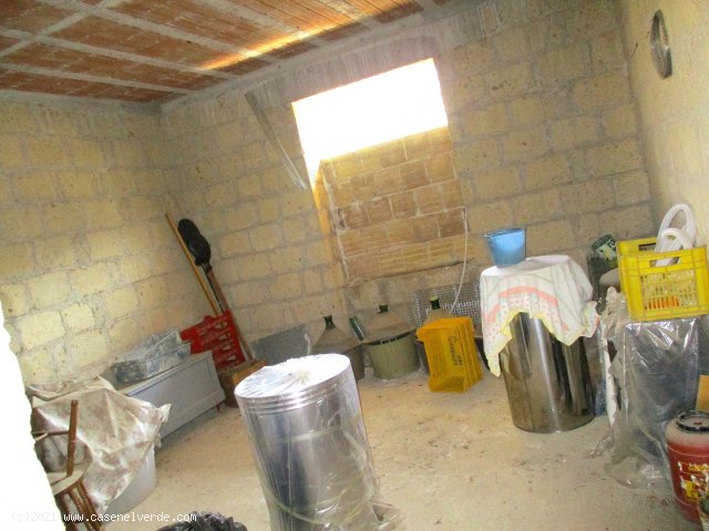 FRASSO TELESINO (BN) - 192 CASA INDIPENDENTE