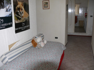 SANT'AGATA DE' GOTI (BN) - 391 CASA COLONICA CON GIARDINO