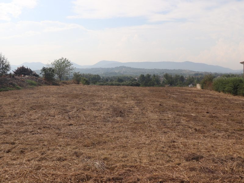 DUGENTA (BN) - 791 APPEZZAMENTO DI TERRENO AGRICOLO