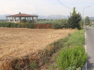 DUGENTA (BN) - 791 APPEZZAMENTO DI TERRENO AGRICOLO
