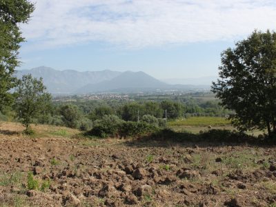 RUVIANO (CE) - 6 TERRENO AGRICOLO IN ZONA PANORAMICA