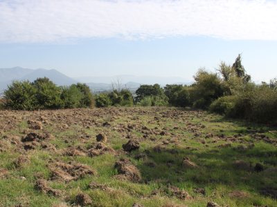 RUVIANO (CE) - 6 TERRENO AGRICOLO IN ZONA PANORAMICA