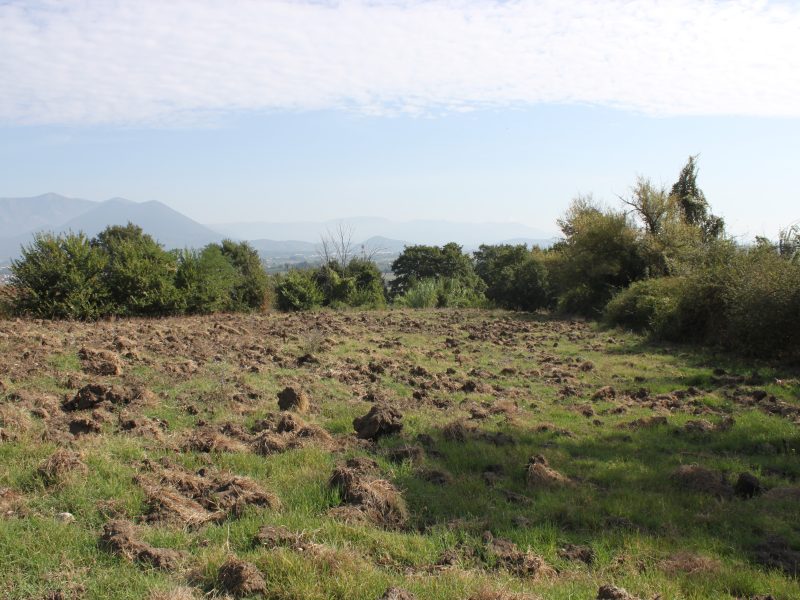 RUVIANO (CE) - 6 TERRENO AGRICOLO IN ZONA PANORAMICA