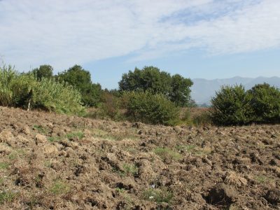 RUVIANO (CE) - 6 TERRENO AGRICOLO IN ZONA PANORAMICA