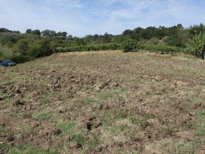 RUVIANO (CE) - 6 TERRENO AGRICOLO IN ZONA PANORAMICA
