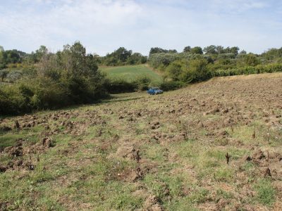 RUVIANO (CE) - 6 TERRENO AGRICOLO IN ZONA PANORAMICA