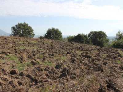 RUVIANO (CE) - 6 TERRENO AGRICOLO IN ZONA PANORAMICA