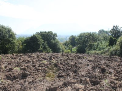 RUVIANO (CE) - 6 TERRENO AGRICOLO IN ZONA PANORAMICA
