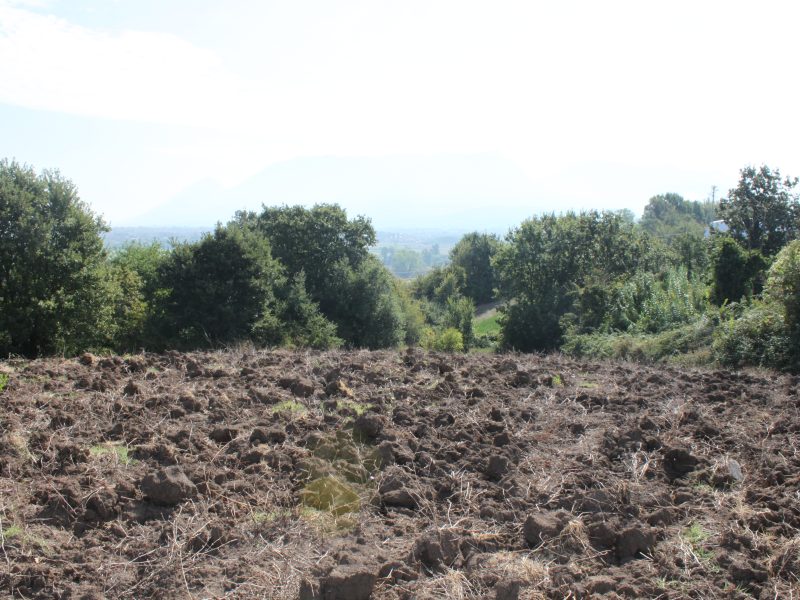 RUVIANO (CE) - 6 TERRENO AGRICOLO IN ZONA PANORAMICA