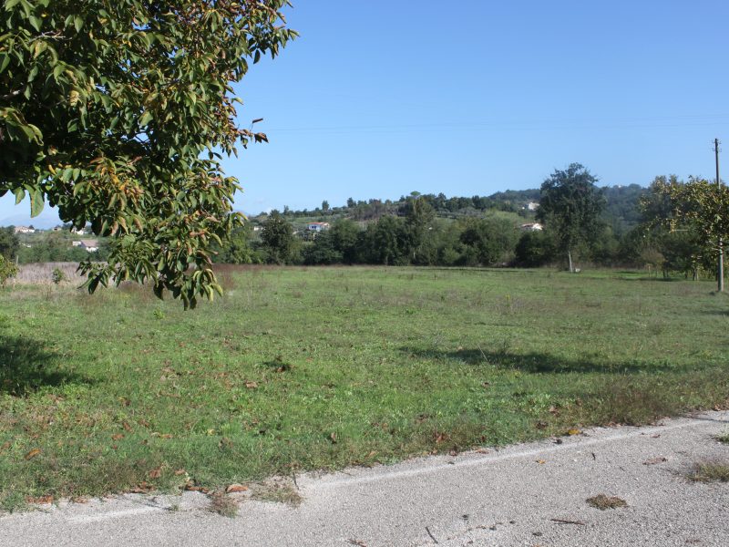DUGENTA (BN) - 785 TERRENO PIANEGGIANTE