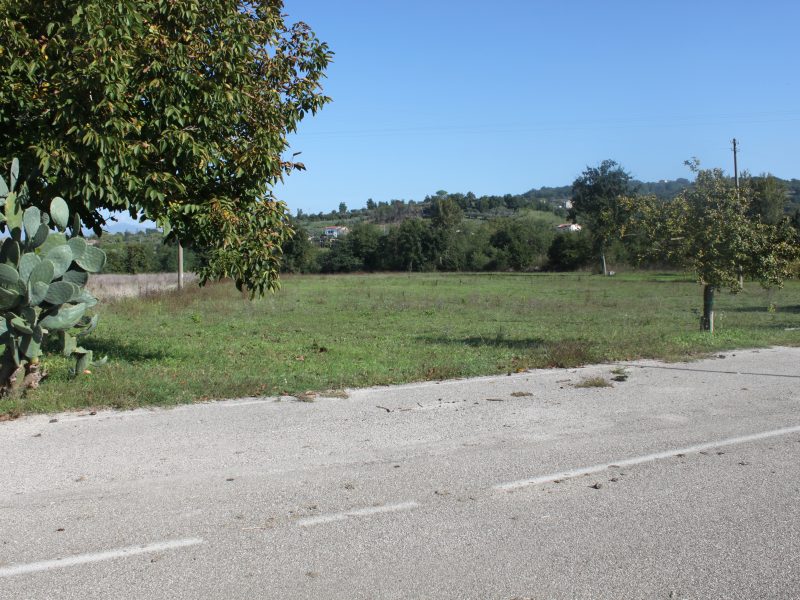 DUGENTA (BN) - 785 TERRENO PIANEGGIANTE