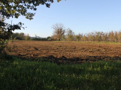LIMATOLA (BN) - 778 APPEZZAMENTO DI TERRENO PIANEGGIANTE