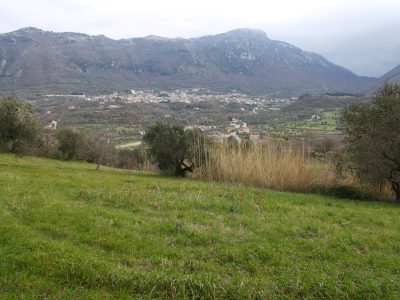 FRASSO TELESINO (BN) - 774 APPEZZAMENTO DI TERRENO