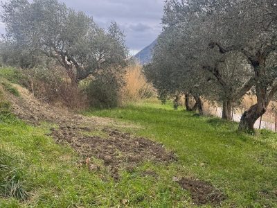 FRASSO TELESINO (BN) - 774 APPEZZAMENTO DI TERRENO