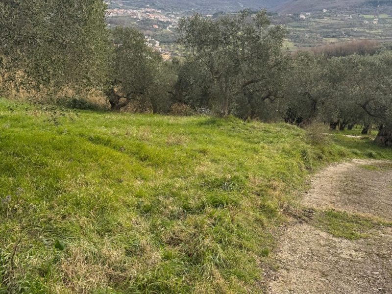 FRASSO TELESINO (BN) - 774 APPEZZAMENTO DI TERRENO