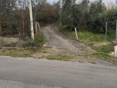 FRASSO TELESINO (BN) - 774 APPEZZAMENTO DI TERRENO