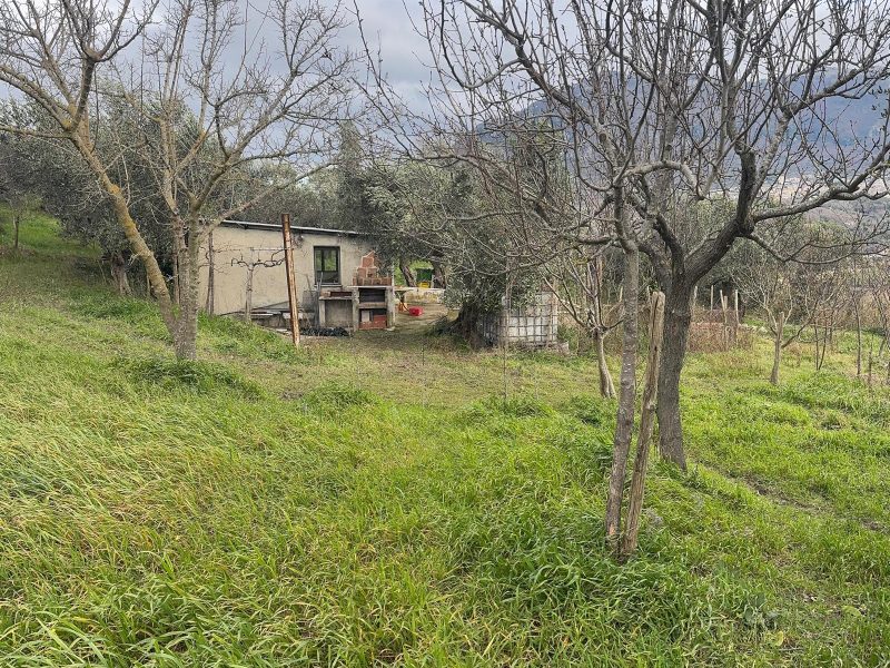 FRASSO TELESINO (BN) - 774 APPEZZAMENTO DI TERRENO