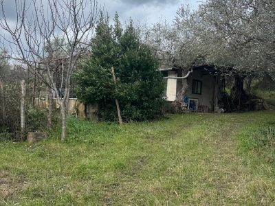 FRASSO TELESINO (BN) - 774 APPEZZAMENTO DI TERRENO