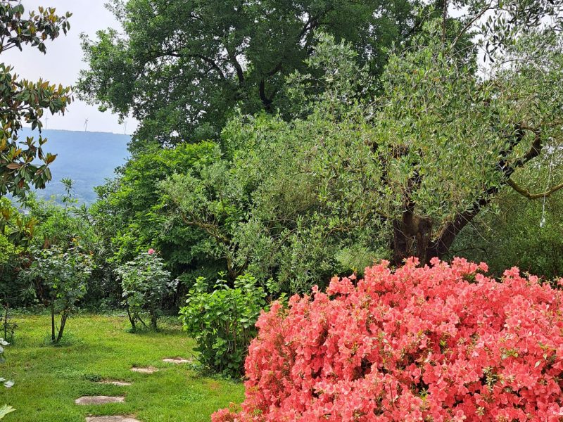 SANT'AGATA DE' GOTI (BN) - 773 GRAZIOSO VILLINO CON GIARDINO