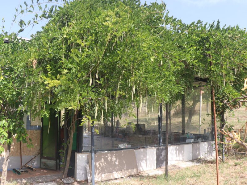 DUGENTA (BN) - 765 CASALE RISTRUTTURATO CON TERRENO