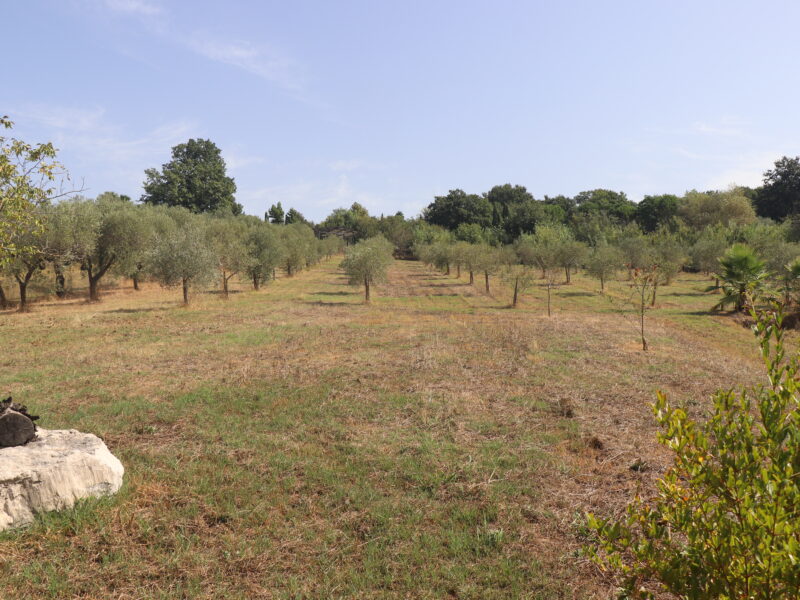 DUGENTA (BN) - 765 CASALE RISTRUTTURATO CON TERRENO