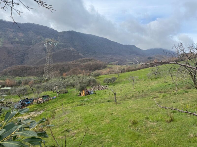 CAUTANO (BN) - 764 CASALE IN PIETRA VIVA CON TERRENO