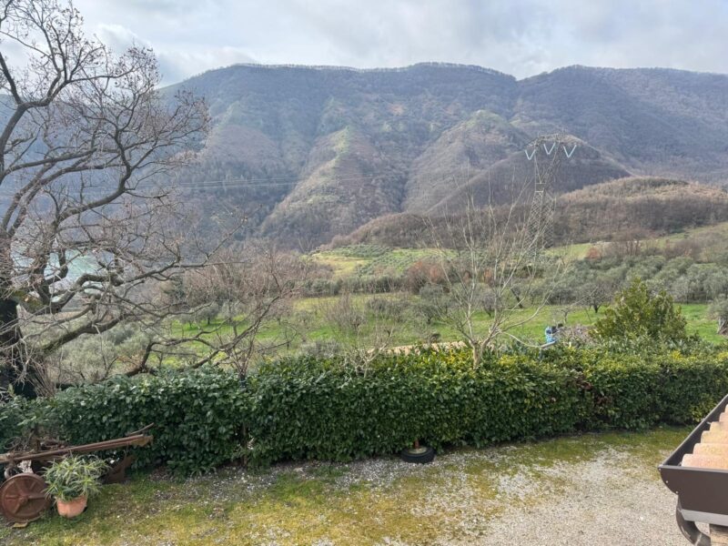 CAUTANO (BN) - 764 CASALE IN PIETRA VIVA CON TERRENO