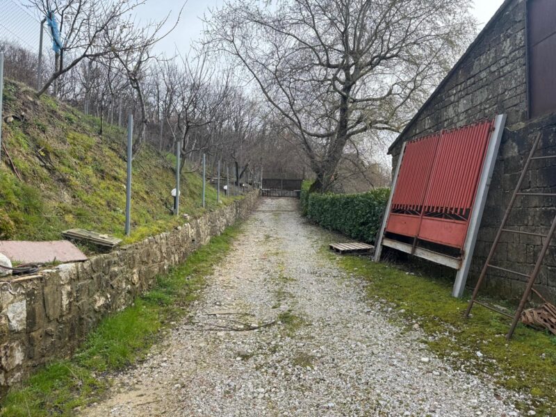 CAUTANO (BN) - 764 CASALE IN PIETRA VIVA CON TERRENO