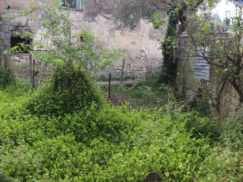 SANT'AGATA DE' GOTI (BN) - 753 CASA COLONICA IN UN BORGO